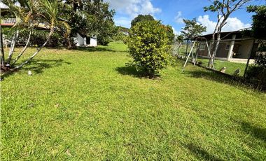 SE VENDE AMPLIO TERRENO CON CABAÑA EN LOS NANCES PRADERA DE UTIVE