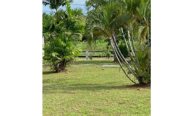 SE VENDE AMPLIO TERRENO CON CABAÑA EN LOS NANCES PRADERA DE UTIVE