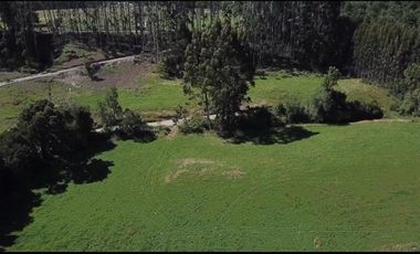 Parcela en Venta en Parcela de agrado con luz (soterrada) y agua en terrazas de Puerto Varas