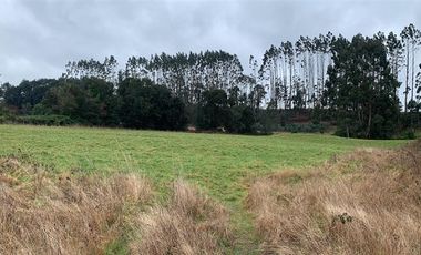 Parcela en Venta en Parcela de agrado con luz (soterrada) y agua en terrazas de Puerto Varas