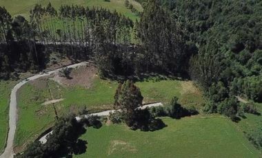 Parcela en Venta en Parcela de agrado con luz (soterrada) y agua en terrazas de Puerto Varas
