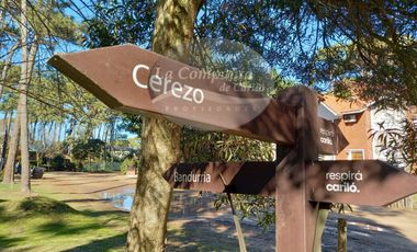 Cod 2020 ALQUILER 2026 / Depto excelente ubicación!! playa/centro