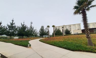Departamento en arriendo c/ estacionamiento en Algarrobo Norte