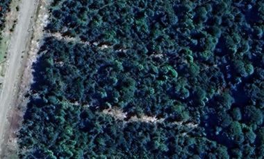 Parcela en Venta en Vende Parcela Sector Tres Puentes 20 minutos de centro Pto. Varas.