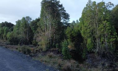 Parcela en Venta en Vende Parcela Sector Tres Puentes 20 minutos de centro Pto. Varas.