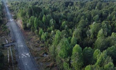 Parcela en Venta en Vende Parcela Sector Tres Puentes 20 minutos de centro Pto. Varas.