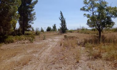 Alquiler de predio de 4.400 m2