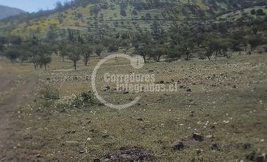Inversión en Venta en Las Bateas, TILTIL
