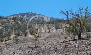 Inversión en Venta en Las Bateas, TILTIL