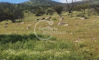 Inversión en Venta en Las Bateas, TILTIL