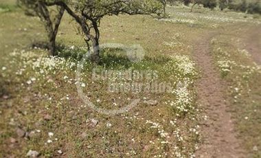 Inversión en Venta en Las Bateas, TILTIL