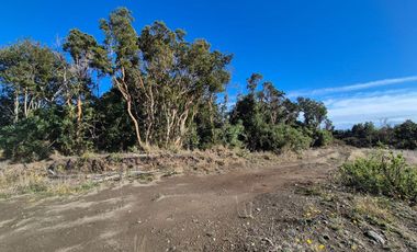 LOTE 3,6 HA ORILLA DE MAR COHEN, QUINCHAO UNICO!