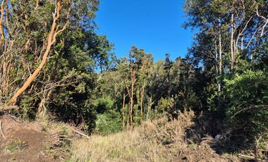 LOTE 3,6 HA ORILLA DE MAR COHEN, QUINCHAO UNICO!