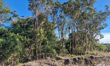 LOTE 3,6 HA ORILLA DE MAR COHEN, QUINCHAO UNICO!