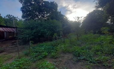 Lote en venta en Caserío las raíces vía a los corazones, Valledupar