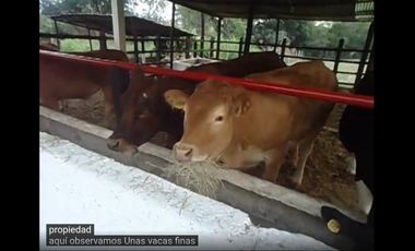 Lote en venta en Chinauta , Fusagasugá