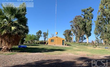 Finca en Angaco - Santa Elena
