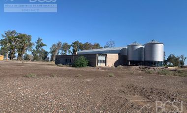 Finca en Angaco - Santa Elena