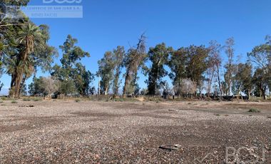 Finca en Angaco - Santa Elena