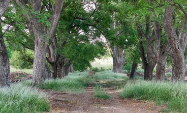 Lote en venta - barrio cerrado – Estancia Carabassa