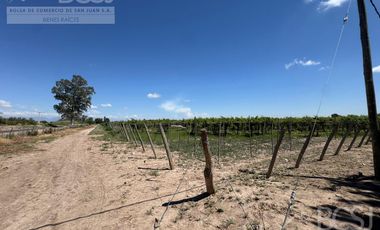 Finca en 25 de Mayo - Calle 4 entre calle 22 y 23