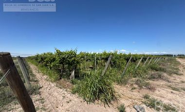 Finca en 25 de Mayo - Calle 4 entre calle 22 y 23