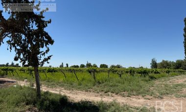 Finca en 25 de Mayo - Calle 4 entre calle 22 y 23
