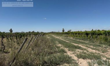 Finca en 25 de Mayo - Calle 4 entre calle 22 y 23