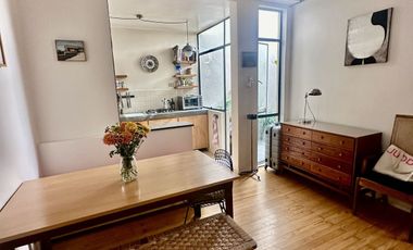 RENTA   CASA AMUEBLADA EN ROMA NORTE DE JUNIO A DICIEMBRE