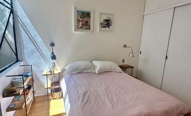 RENTA   CASA AMUEBLADA EN ROMA NORTE DE JUNIO A DICIEMBRE