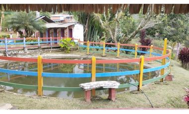 CENTRO RECREATIVO EN VENTA VEREDA EL POMO CERRITO A 25 Min de Palmira
