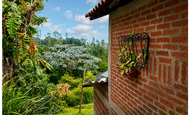 CASA CAMPESTRE CON VISTA INCREIBLE PARA EL ARRIENDO