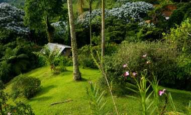 CASA CAMPESTRE CON VISTA INCREIBLE PARA EL ARRIENDO