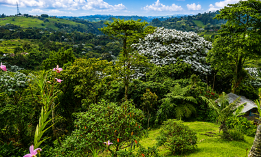 CASA CAMPESTRE CON VISTA INCREIBLE PARA EL ARRIENDO
