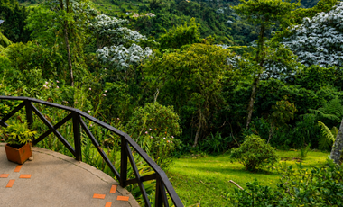 CASA CAMPESTRE CON VISTA INCREIBLE PARA EL ARRIENDO