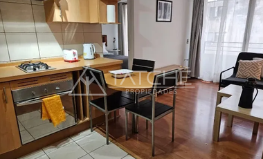 ARRIENDO DEPARTAMENTO 1HAB 1BA SANTIAGO