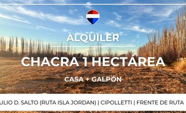 ALQUILER CHACRA 1 HA. + CASA + GALPON - CIPOLLETTI