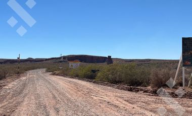 Alquiler Hectáreas en Tratayén – Frente de Ruta – Zona Vaca Muerta