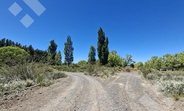Alquiler Hectáreas en Tratayén – Frente de Ruta – Zona Vaca Muerta