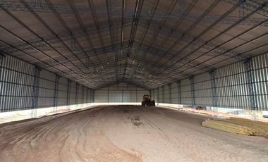 Alquiler Galpon industrial 1000 m2, Cutral Co