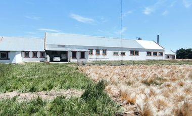 Nave Industrial en Ruta 226