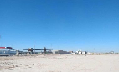 TERRENO EN RENTA SOBRE CARRETERA A SAN PEDRO TORREÓN, COAHUILA