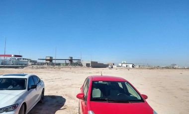 TERRENO EN RENTA SOBRE CARRETERA A SAN PEDRO TORREÓN, COAHUILA
