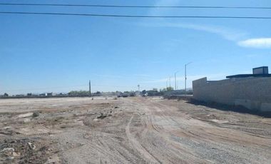 TERRENO EN RENTA SOBRE CARRETERA A SAN PEDRO TORREÓN, COAHUILA