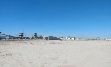 TERRENO EN RENTA SOBRE CARRETERA A SAN PEDRO TORREÓN, COAHUILA