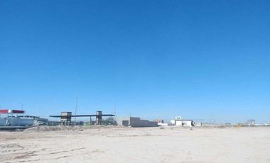 TERRENO EN RENTA SOBRE CARRETERA A SAN PEDRO TORREÓN, COAHUILA