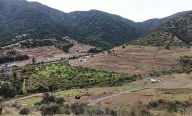 PARCELAS CON CRÉDITO DIRECTO EN REQUÍNOA PROYECTO PIMPINELA