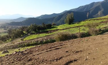 PARCELAS CON CRÉDITO DIRECTO EN REQUÍNOA PROYECTO PIMPINELA