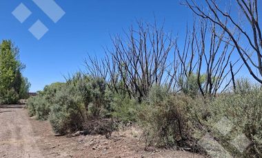 Alquiler Hectáreas en Tratayén – Frente de Ruta – Zona Vaca Muerta