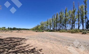 Alquiler Hectáreas en Tratayén – Frente de Ruta – Zona Vaca Muerta
